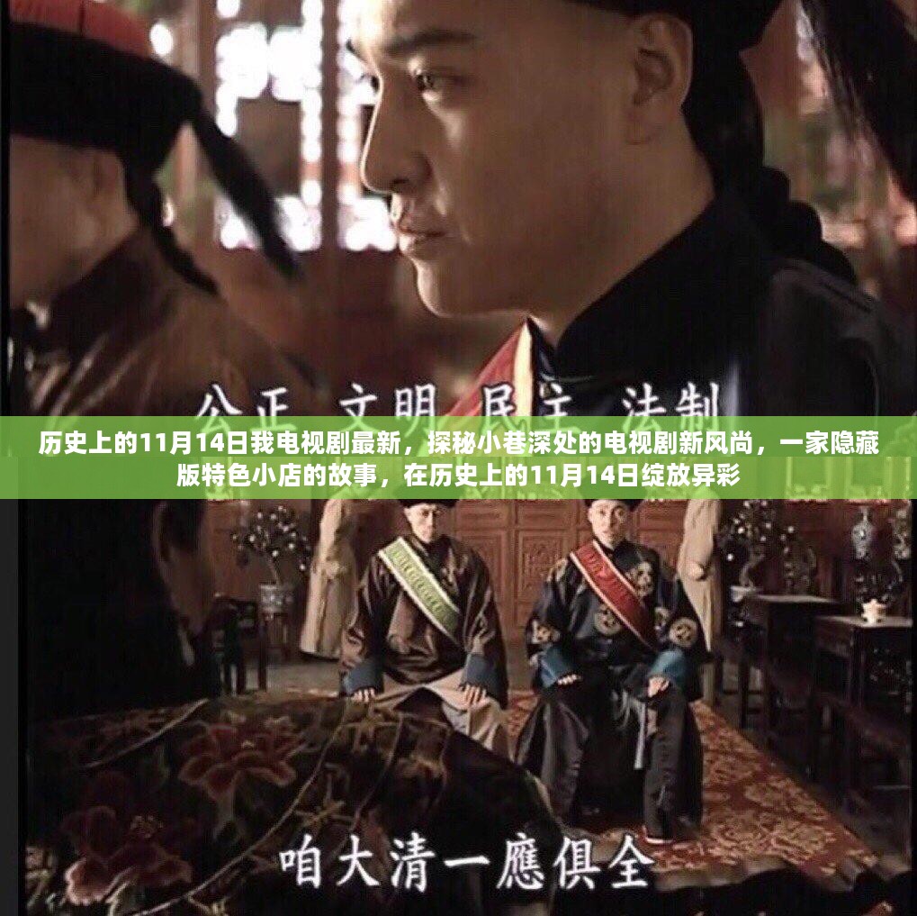 历史上的11月14日，探秘小巷深处的特色电视剧新风尚，一家隐藏版小店的传奇故事