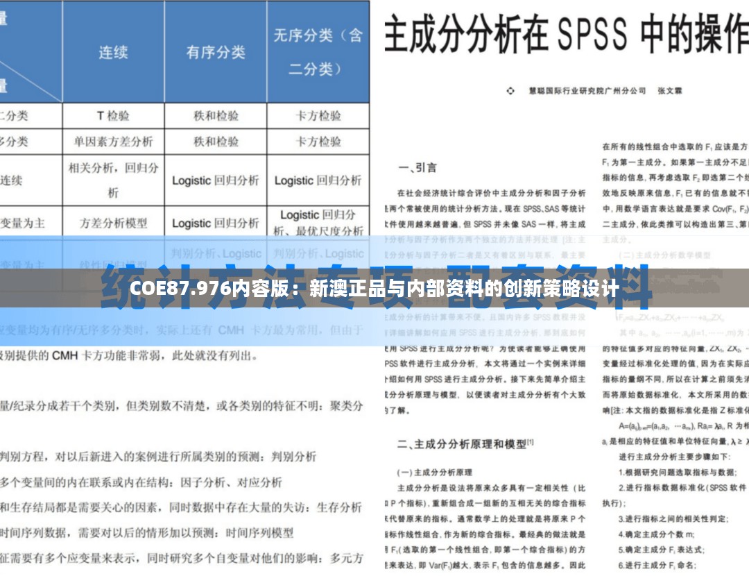 COE87.976内容版：新澳正品与内部资料的创新策略设计