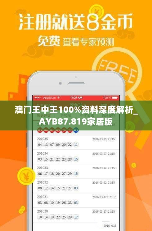 澳门王中王100%资料深度解析_AYB87.819家居版