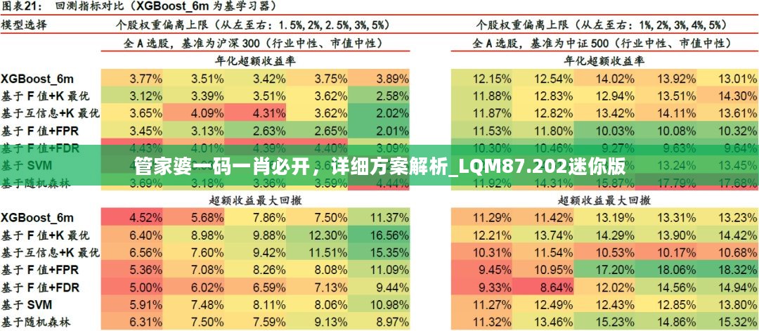 管家婆一码一肖必开，详细方案解析_LQM87.202迷你版