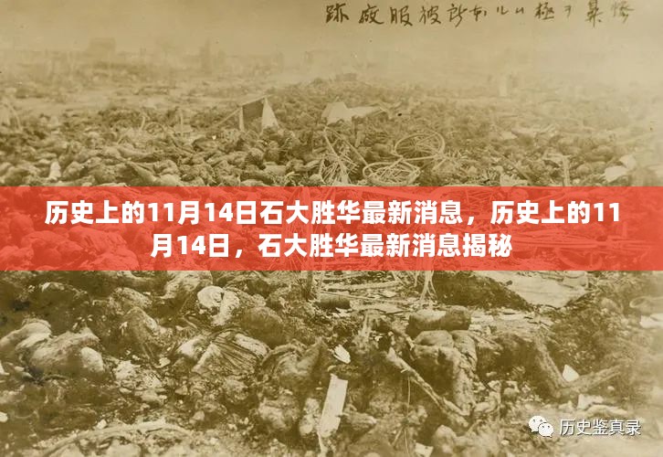 历史上的11月14日，石大胜华最新消息揭秘