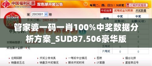 管家婆一码一肖100%中奖数据分析方案_SUD87.506豪华版