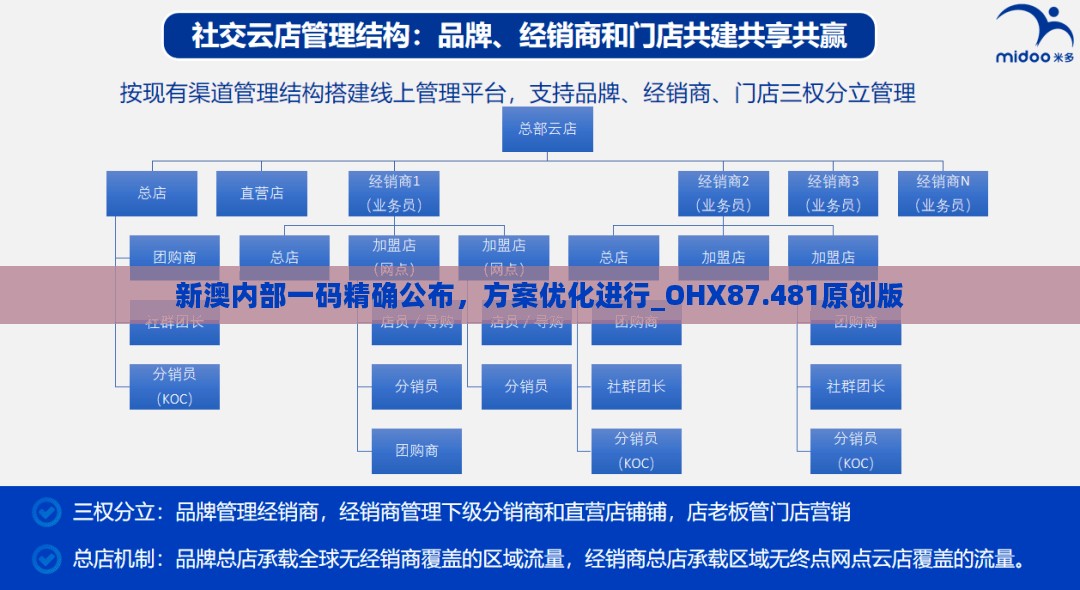 新澳内部一码精确公布，方案优化进行_OHX87.481原创版