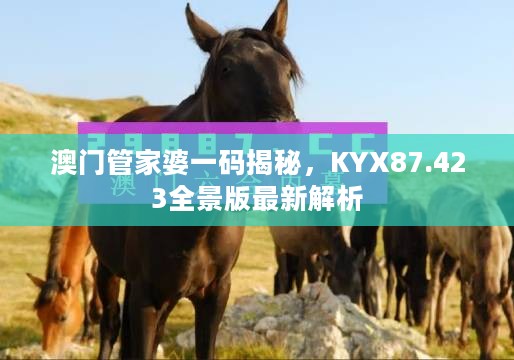 澳门管家婆一码揭秘，KYX87.423全景版最新解析