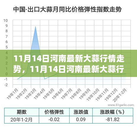 11月14日河南大蒜行情走势分析与应对指南，最新行情动态解读及应对策略分享。