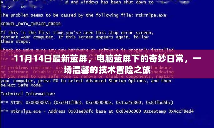 电脑蓝屏下的冒险之旅，日常技术探索与温馨体验