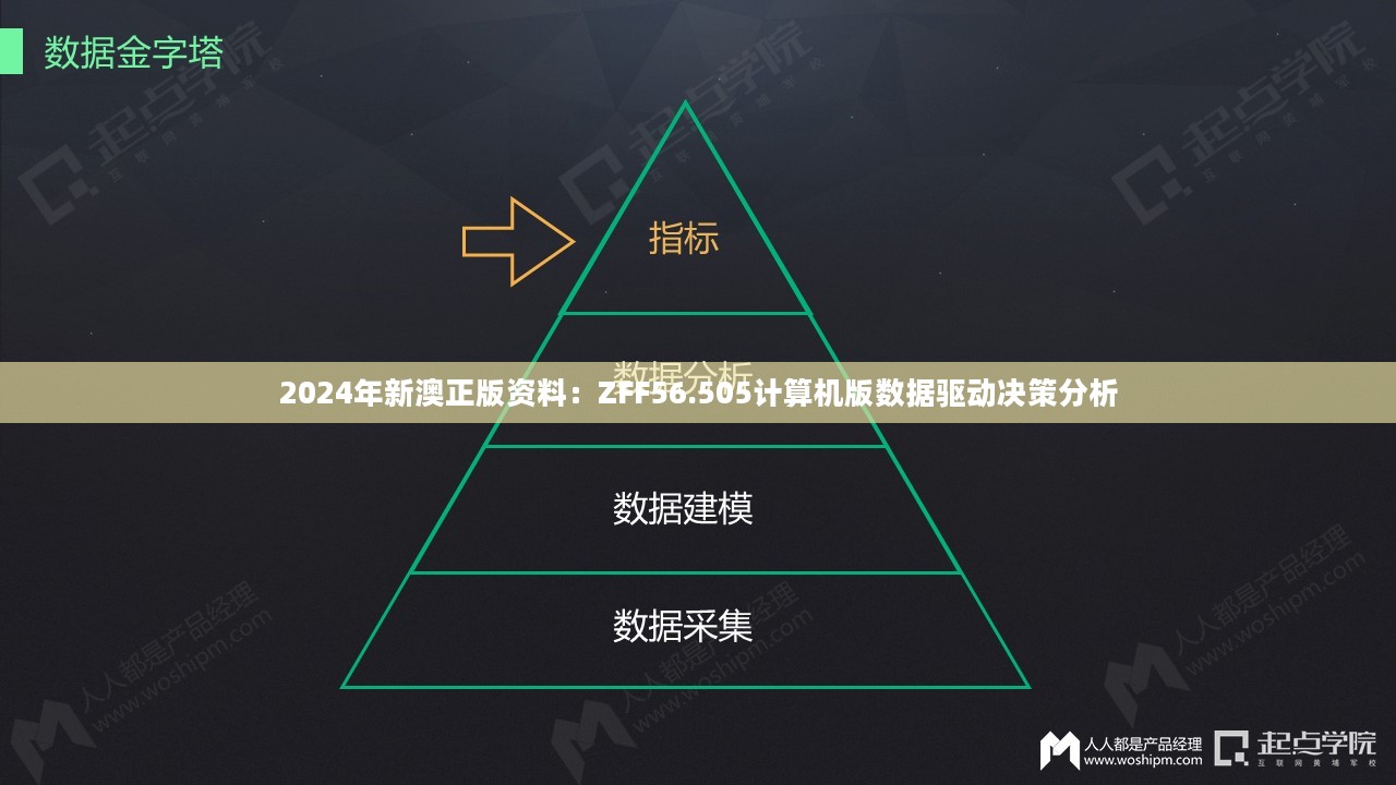 2024年新澳正版资料：ZFF56.505计算机版数据驱动决策分析