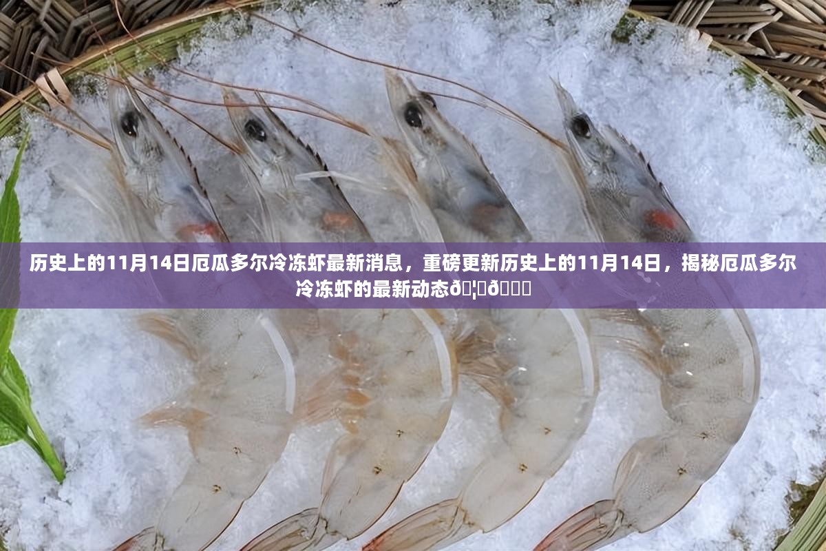 揭秘，厄瓜多尔冷冻虾最新动态，历史性的11月14日更新消息🦐🌍