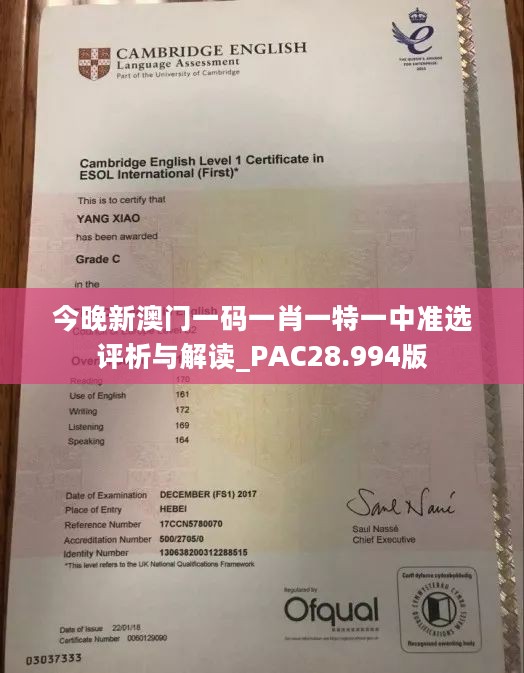 今晚新澳门一码一肖一特一中准选评析与解读_PAC28.994版