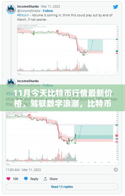 比特币行情揭秘，驾驭数字浪潮，探索未来无限可能，自信成长故事与最新价格更新