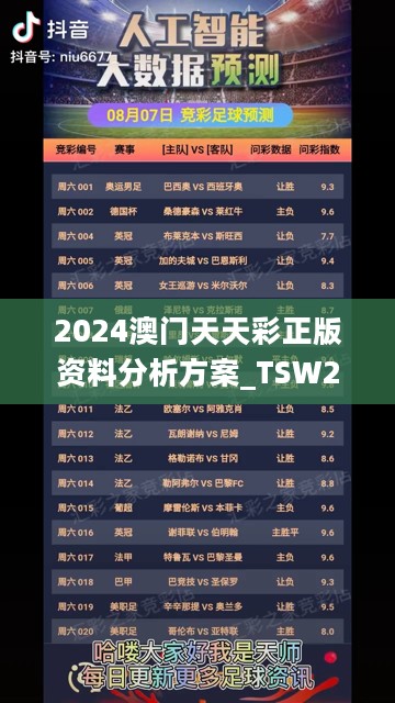 2024澳门天天彩正版资料分析方案_TSW28.206稳定版