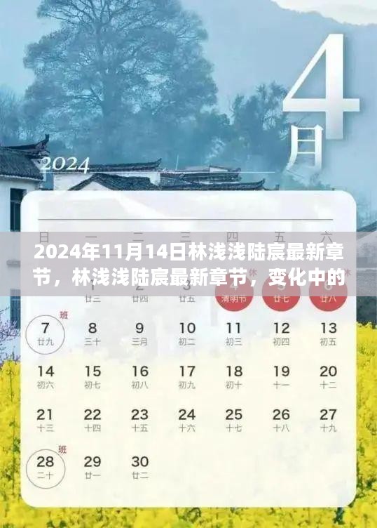 林浅浅陆宸的成长之旅，自信与成就感的闪耀之路（最新章节）