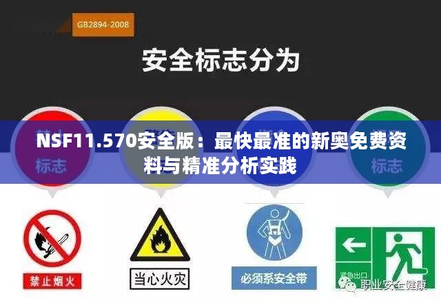 NSF11.570安全版：最快最准的新奥免费资料与精准分析实践