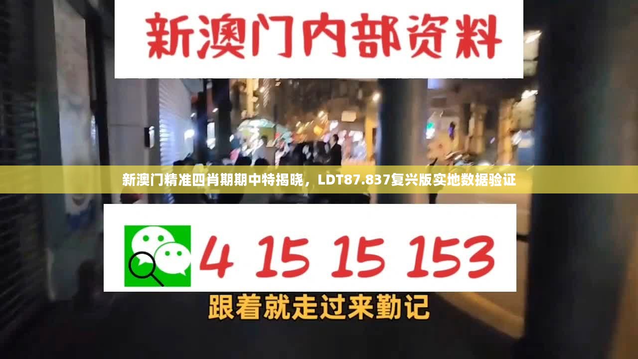 新澳门精准四肖期期中特揭晓，LDT87.837复兴版实地数据验证