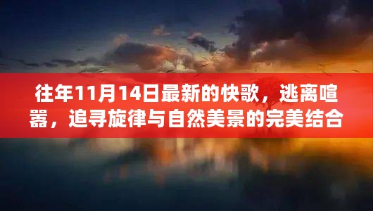 11月14日最新快歌，逃离喧嚣的心灵之旅，旋律与自然美景的完美结合