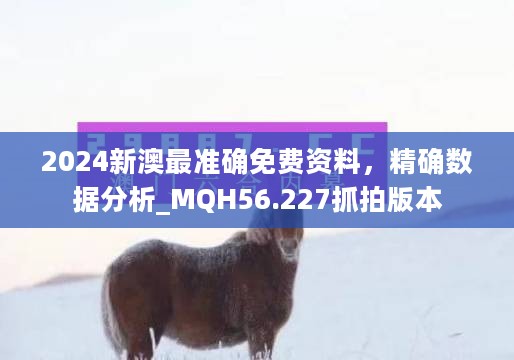 2024新澳最准确免费资料，精确数据分析_MQH56.227抓拍版本