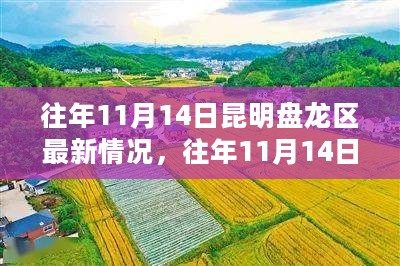 昆明盘龙区历年11月14日的新面貌展示