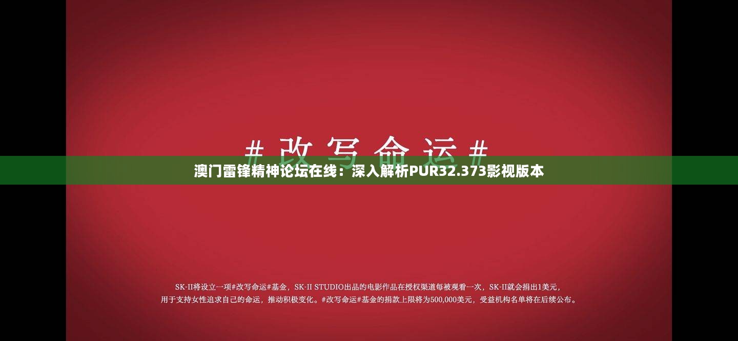 澳门雷锋精神论坛在线：深入解析PUR32.373影视版本