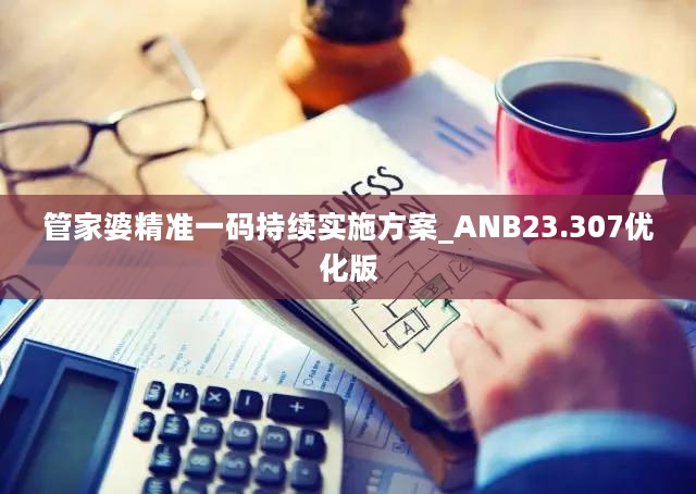 管家婆精准一码持续实施方案_ANB23.307优化版