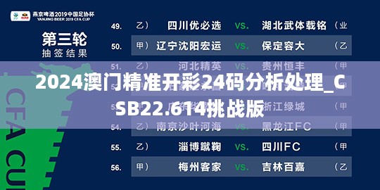 2024澳门精准开彩24码分析处理_CSB22.614挑战版