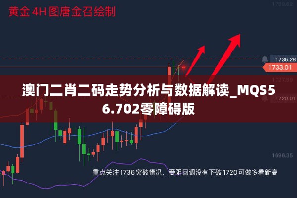 澳门二肖二码走势分析与数据解读_MQS56.702零障碍版