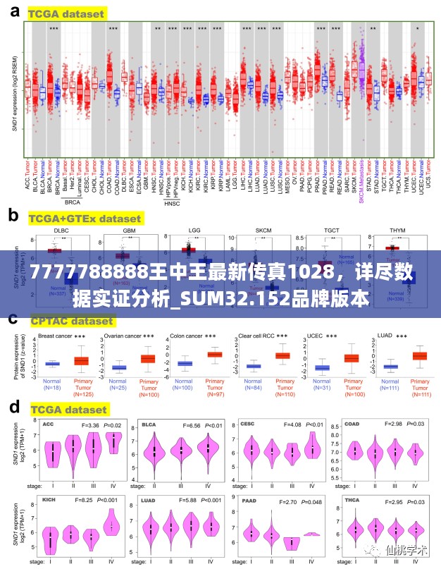 7777788888王中王最新传真1028，详尽数据实证分析_SUM32.152品牌版本