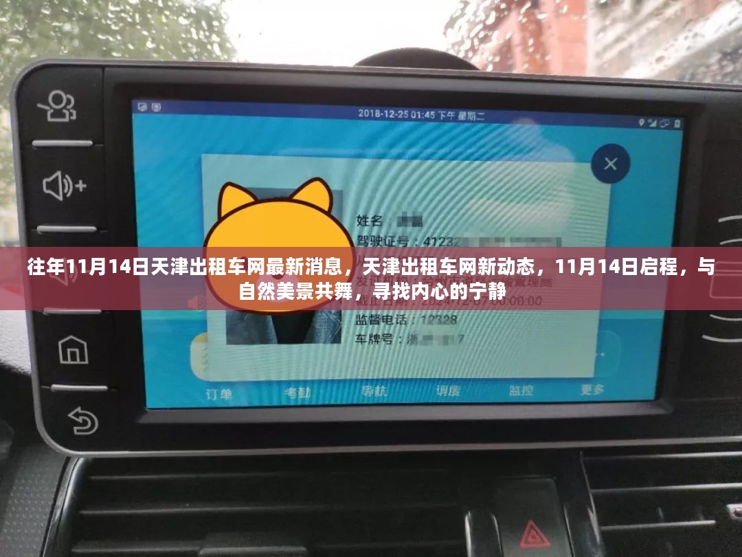 天津出租车网新动态启程，与自然共舞，探寻内心宁静之旅（11月14日最新消息）