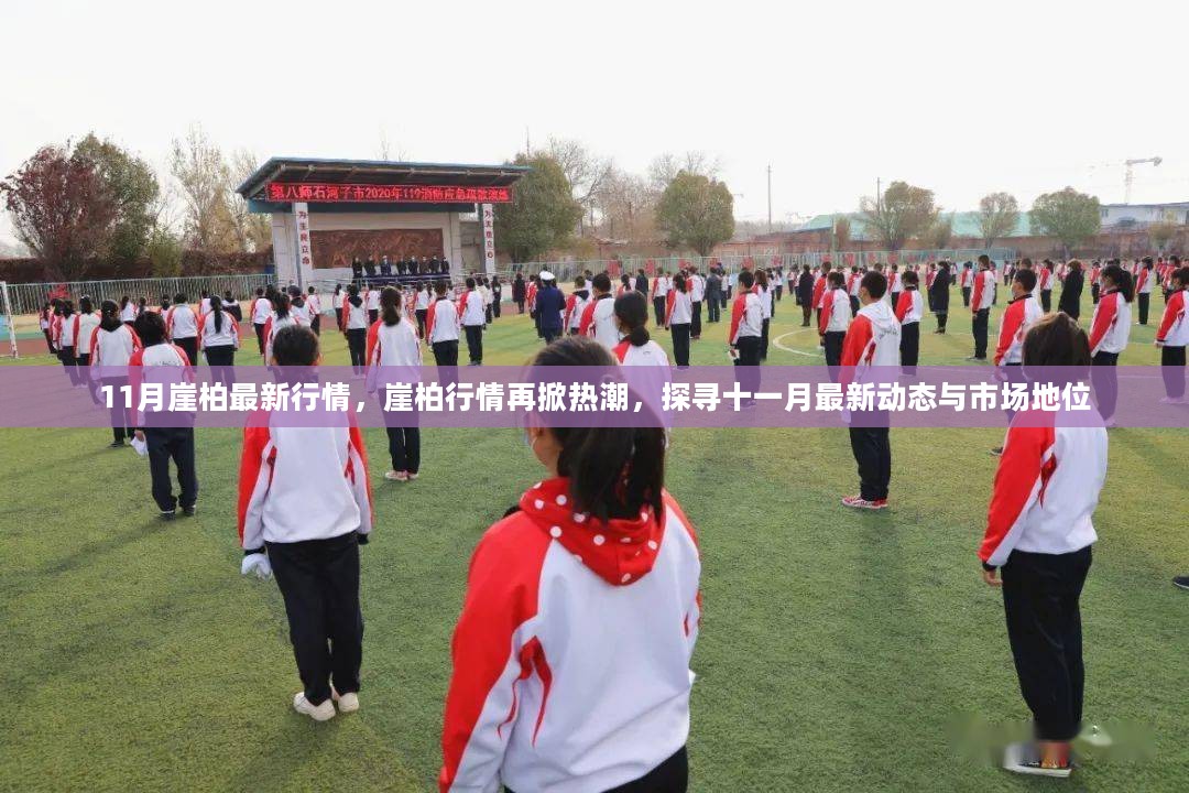 11月崖柏行情高涨，市场掀起新一轮热潮，探寻最新动态与市场地位