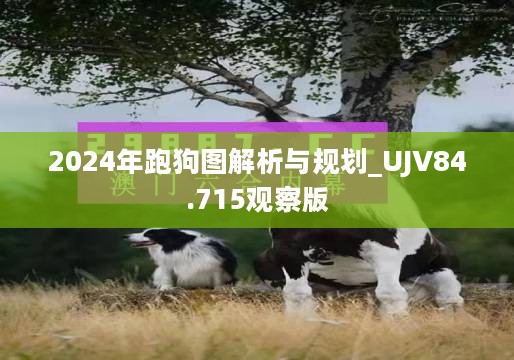 2024年跑狗图解析与规划_UJV84.715观察版