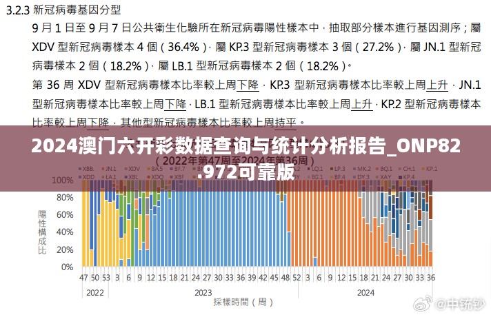 2024年11月15日 第49页