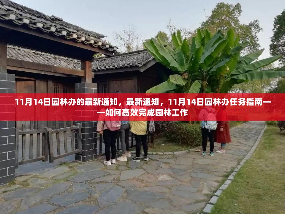 11月14日园林办任务指南，高效完成园林工作的方法与策略