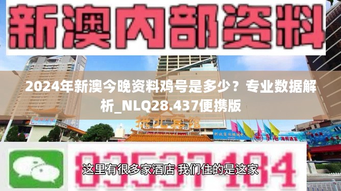 2024年新澳今晚资料鸡号是多少？专业数据解析_NLQ28.437便携版