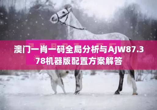 澳门一肖一码全局分析与AJW87.378机器版配置方案解答