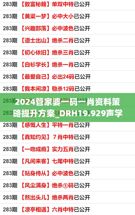 2024管家婆一码一肖资料策略提升方案_DRH19.929声学版本