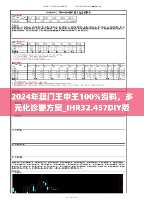 2024年澳门王中王100%资料，多元化诊断方案_IHR32.457DIY版