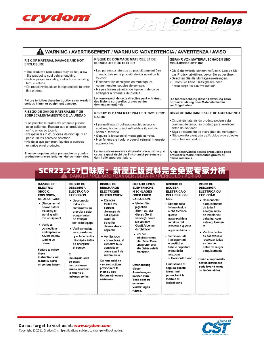 SCR23.257口味版：新澳正版资料完全免费专家分析