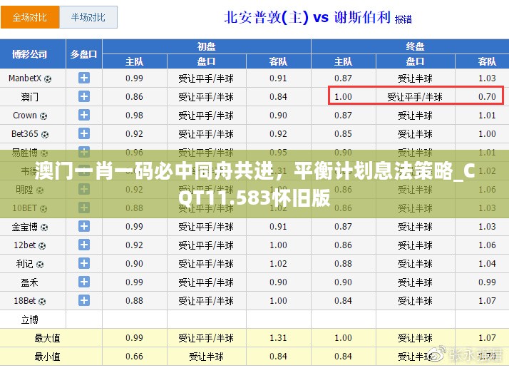 澳门一肖一码必中同舟共进，平衡计划息法策略_CQT11.583怀旧版