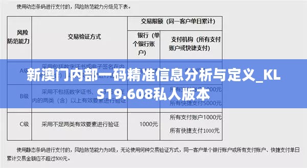 新澳门内部一码精准信息分析与定义_KLS19.608私人版本