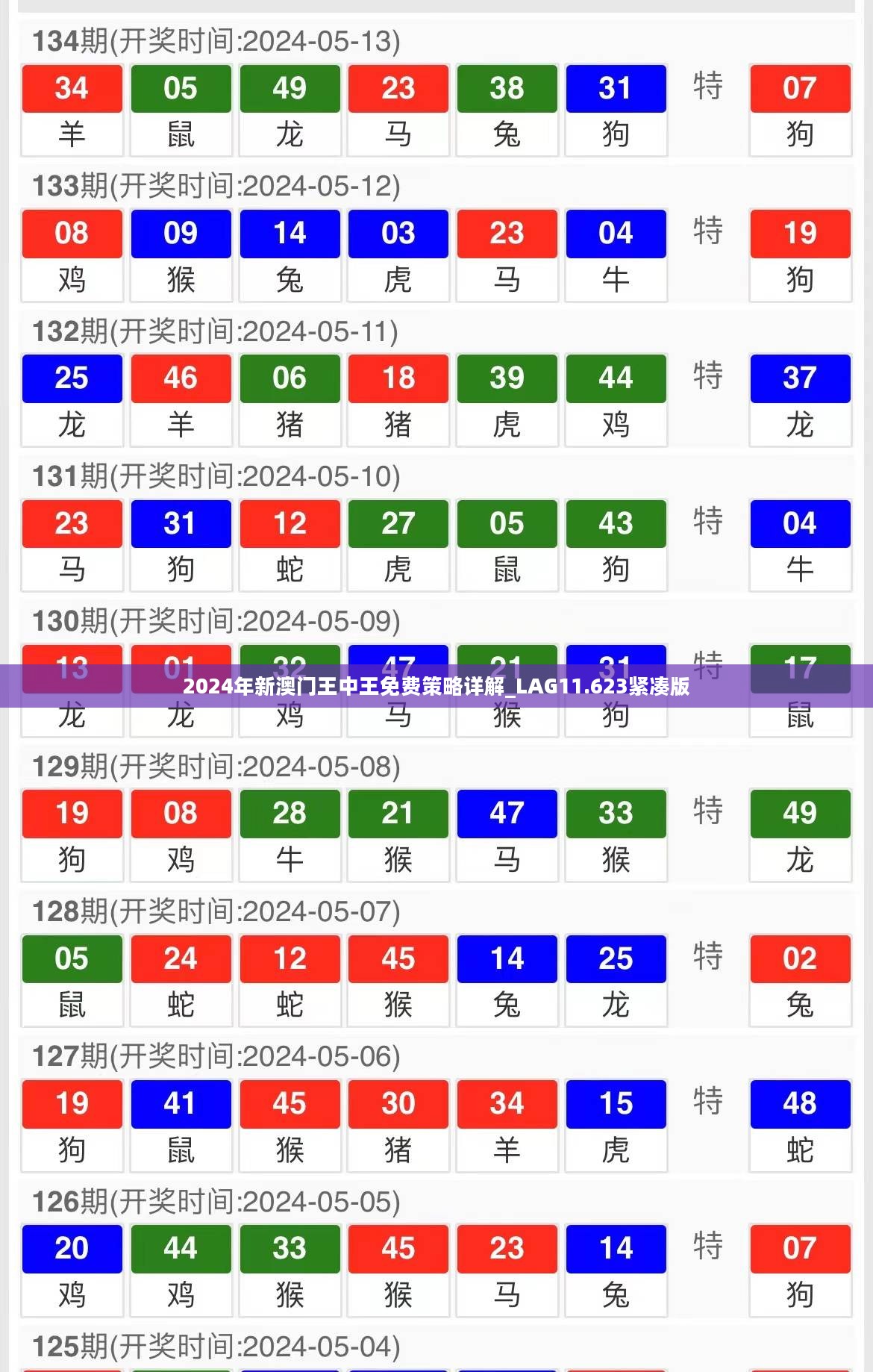 2024年新澳门王中王免费策略详解_LAG11.623紧凑版