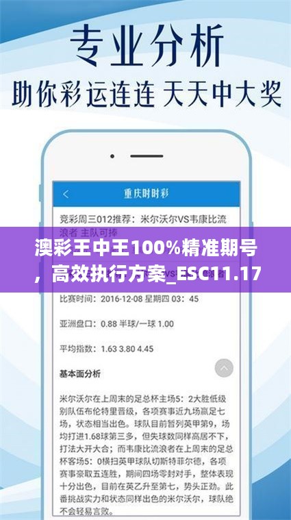 澳彩王中王100%精准期号，高效执行方案_ESC11.170云端共享版