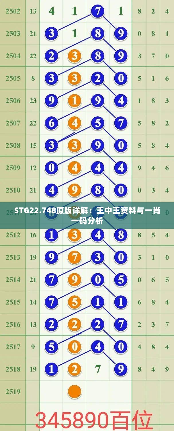 STG22.748原版详解：王中王资料与一肖一码分析