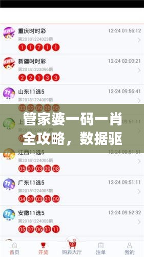 管家婆一码一肖全攻略，数据驱动计划_LEQ22.625互助版