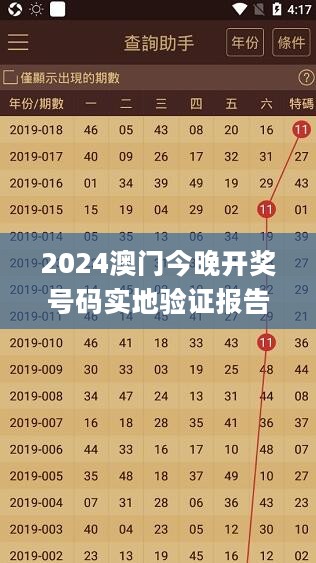 2024澳门今晚开奖号码实地验证报告_CUR22.482拍照版