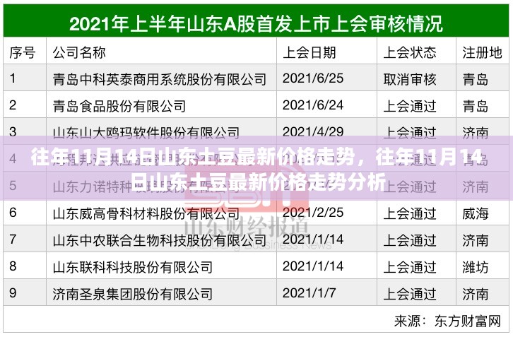 往年11月14日山东土豆价格走势及分析，最新市场动态揭秘！