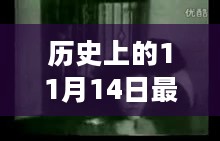 11月14日最新哭灵视频在线观看，自然怀抱中的心灵探寻之旅