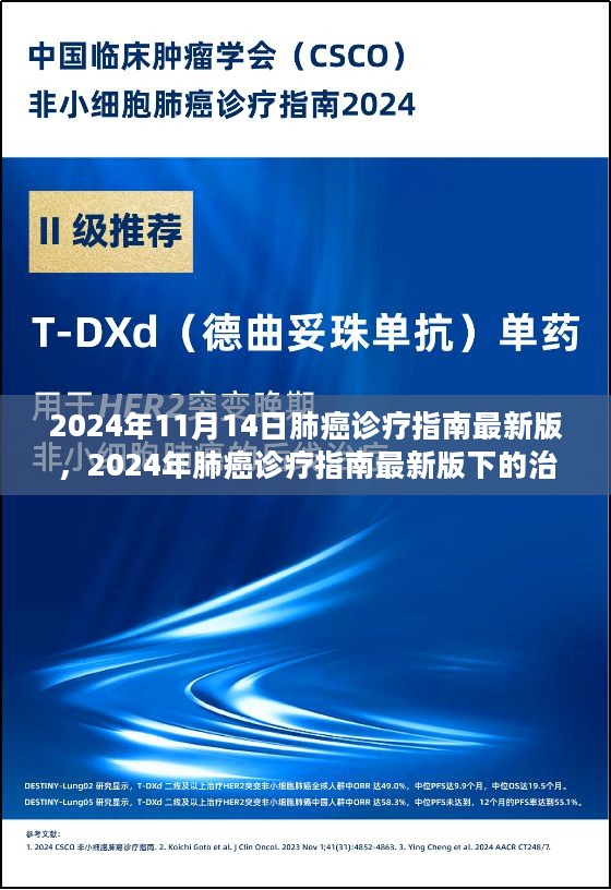 2024年肺癌诊疗指南最新版解读，多方观点碰撞下的治疗策略与个人立场