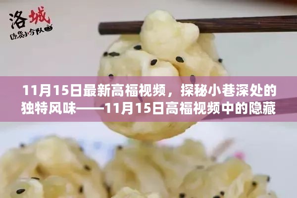 探秘小巷深处的独特风味，高福视频中的隐藏美食宝藏（11月15日最新）