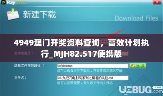 4949澳门开奖资料查询，高效计划执行_MJH82.517便携版