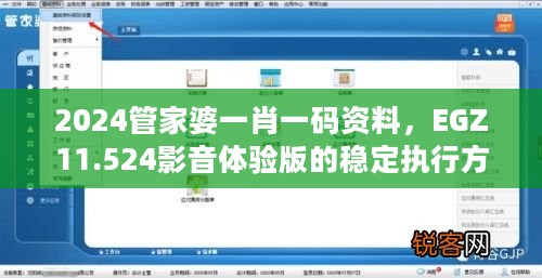 2024管家婆一肖一码资料，EGZ11.524影音体验版的稳定执行方案