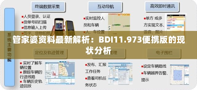 管家婆资料最新解析：BDI11.973便携版的现状分析